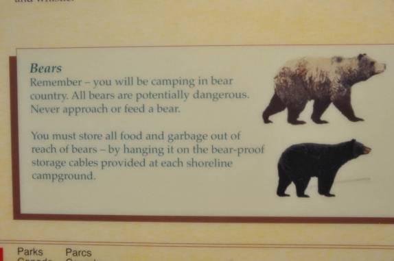 Um dos muitos painéis explicativos sobre ursos no Banff National Park, em Alberta, no Canadá